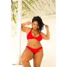 Biquini Plus Size Asa Delta Com Bojo Cores Do Verão