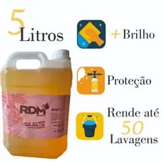 Shampoo Com Cera De Carnaúba 5 Litros + Brilho RDM