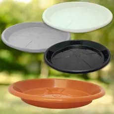 Kit 4 Pratos Redondos 30cm Varias Cores