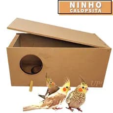 Ninho Casinha para Pássaros  - Calopsita, agapornes