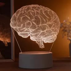 Luminária LED 3D de Mesa / Luz Noturna / Presente Criativo  - cérebro realista 3D, neurologista