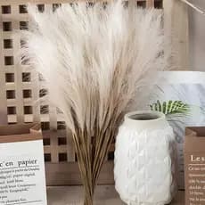 7 Unidades Capim Pampas 70cm | Destaque no Ambiente