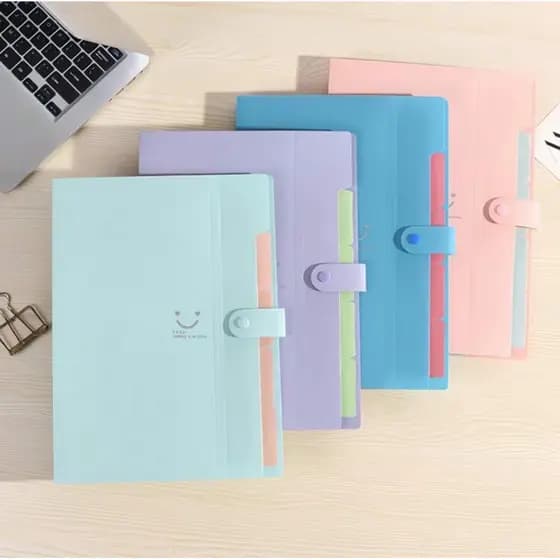 Pasta organizadora porta arquivos documentos com 5 divisórias