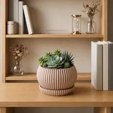 Vasos Suculentas Decorativos, Cachepô plantas naturais com bandeja