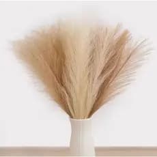 Kit Hastes Capim Do Pampas Plumas Artificial Galhos 55cm