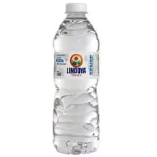 12 Água Mineral Sem Gás Lindoya Verão Sense Garrafa 510ml