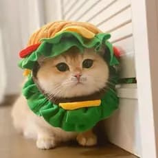 Bandana Soft Pet Burger – Chapéu De Cone De Cachorro Para Cosplay E Recuperação