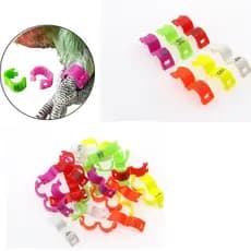 Pacote de anilhas click , PREMIUm  4.0  para periquitos, rolinha diamante. ADULTOS E FILHOTES. Envio imediato.
