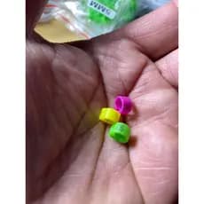 kit anilhas numeradas ( 5.5mm fecho click) abertas para calopsitas e roselas . Adultas e filhotes.