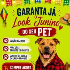 Roupa de Festa JUNINA JULINA para Cachorro Grande INVERNO Camisa e Vestido Golden Rottweiler Pitbull
