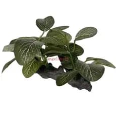 Aquário Ramo Flutuante Artificial Planta Peixe Para Decorações Tanque Aqu