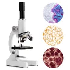 Microscópio Monocular Biológico Profissional - 64x A 2400x