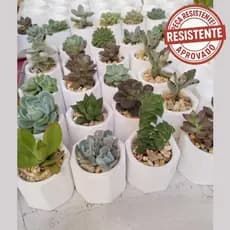 kit 03 Mini Vaso Suculenta Decorativo de Gesso para Suculentas Pote Mini Platinhas Vaso Branco Marmorizado