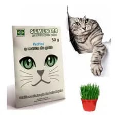 Semente Graminha Petpira Gato Cachorro Coelhos Pet Grama para Cachorro Graminha de Gato Regula Trato Intestinal  50g