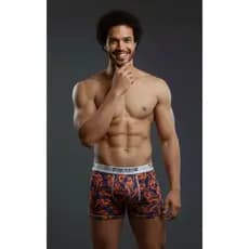 Kit 5 Cueca Boxer Masculina Adulto Microfibra Forro Cuecas Box Masculino ESTAMPAS VARIADAS (FOTOS ILUSTRATIVAS)
