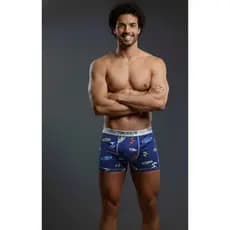 Kit 4 Cueca Boxer TW Masculina Adulto Microfibra Forro Cuecas Box ESTAMPAS VARIADAS (FOTOS ILUSTRATIVAS)