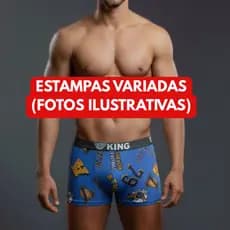 kit 5 cuecas box boxer microfibra revenda ESTAMPAS VARIADAS (FOTOS ILUSTRATIVAS)