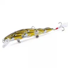 Isca Artificial Cardume