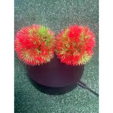 kit 2 plantas artificiais Balls Oferta envio imediato