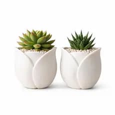 Kit Com 2 Vasos Para Suculentas 10cm Vaso Decorativo Mesa Escritório Formato Tulipa Item Decorativo Minimalista Moderno