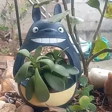 Vasos para suculentas / plantinhas - Totoro