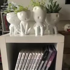 Vasos para suculentas / plantinhas - Kodamas