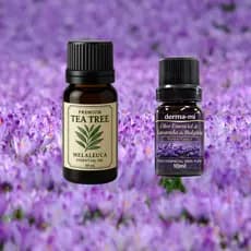 Óleo Essencial Lavanda 10ml e Melaleuca  20ml Tea Tree kit 2 unidades