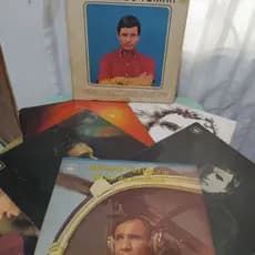 Vinil Lp Disco Roberto Carlos diversos