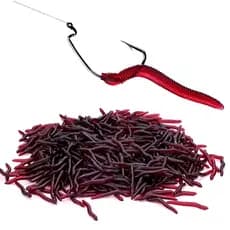 100 Iscas Minhoca Artificial Pesca em Silicone Soft Iscas Artificiais para Pesca de Tilápia Lambari