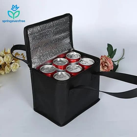 Spe Caixa Térmica Portátil Com Isolamento Térmico , Bolsa Para Acampamento , Alimentos , Bebidas , Bento , Churrasco , Z