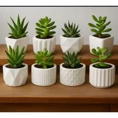 KIT VASINHOS DE GESSO DECORATIVOS PARA CACTOS E PLANTAS ARTIFICIAIS - ENVIO IMEDIATO