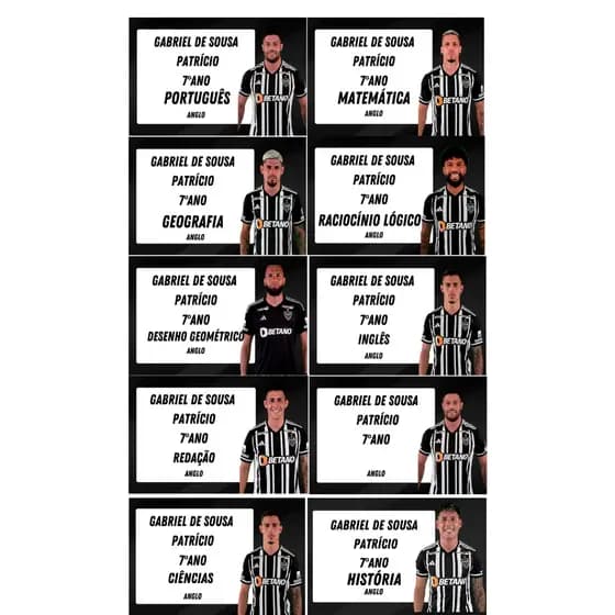 Kit etiqueta lapis e de caderno personalizado Galo