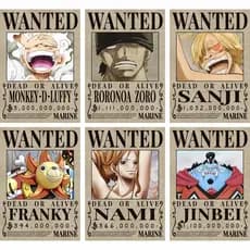 Placa Decorativa Cartaz One Piece Novas Recompeças Wanted Colletion 15x20