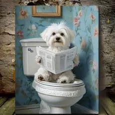 Quadro Placa Decorativa Banheiro Toillet Cachorro Fofinhos Papel Higienico Lendo Jornal