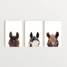 Quadro Decorativo cavalo Amimais  , decoração casa Quadro Decorativo Cavalo tamanho grande