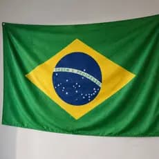 Bandeira do Brasil 61x73cm Eventos Decoração Copa do Mundo Econômica Tecido Simples