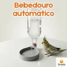 Bebedouro automático para pássaros calopsita periquito arara