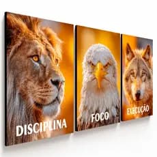 Quadro Decorativo Leão Aguia Lobo Disciplina Inteligencia Foco Motivacional Sala Luxo