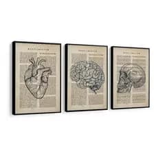 Kit Quadros Decorativo Mosaico 95x50 3 peças MDF Medicina Coração Cérebro Decoração Consultório Hall