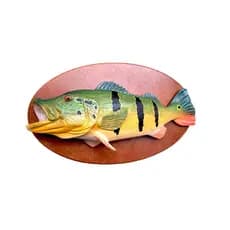 Enfeite Quadro Peixe Tucunare Dourado Resina Base Madeira