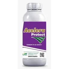 Fertilizante Mineral Misto Acelera Protect 1Lt