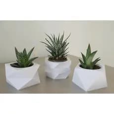 Kit 3 Unidades Vaso decorativo para Suculentas, Cactus e Plantas
