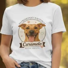 Camiseta T Shirt Feminina Blusa Caramelo Fiapo de Manga 100% Algodão Casual Confortável