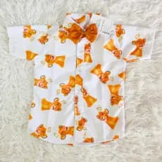 CAMISA REI LEÃO SIMBA Festa de Menino roupa bebe.