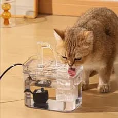 Bebedouro Automático Fonte Gatos Purificador De Água Filtro USB Cães Base