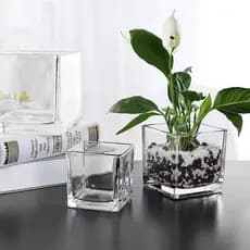 Cachepot Vaso de Vidro quadrado 8x8 - Para arranjos de flores