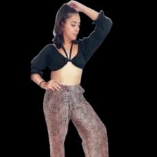 Calça feminina Pantalona e jogger animal print, moda blogueira, look luxo