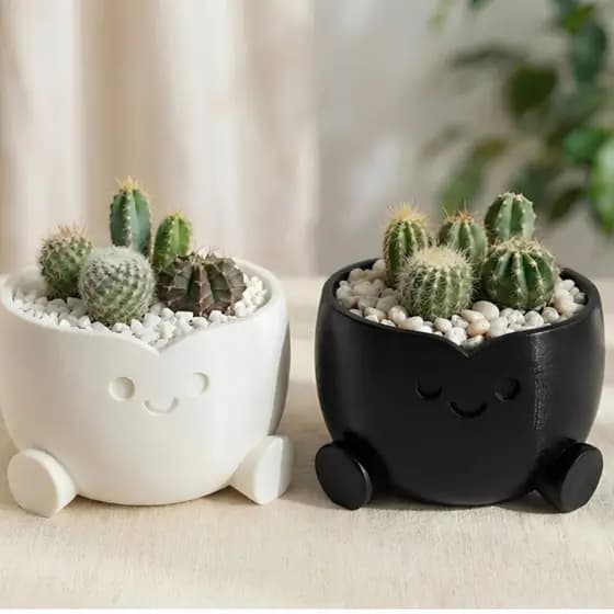 Vaso de Planta Fofo com Rostinho + Suculenta/Cacto | Vaso Decorativo Criativo Presente