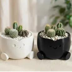 Vaso de Planta Fofo com Rostinho + Suculenta/Cacto | Vaso Decorativo Criativo Presente