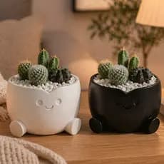 Vaso Decorativo para Suculentas e Cactos | Vaso Pequeno Moderno Decoração Casa